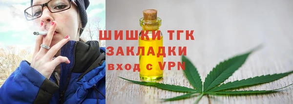 соль ск Алзамай