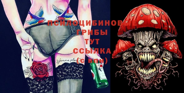 гидра Алексеевка