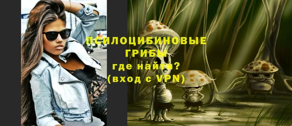 соль ск Алзамай