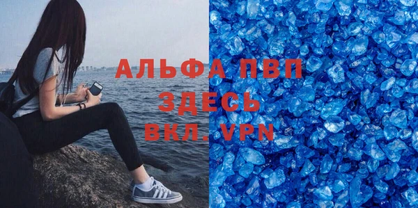 гидра Алексеевка