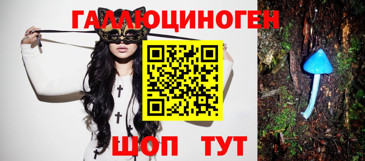 Псилоцибиновые грибы прущие грибы  Псилоцибиновые грибы мухоморы  Кашира  Вход с VPN 